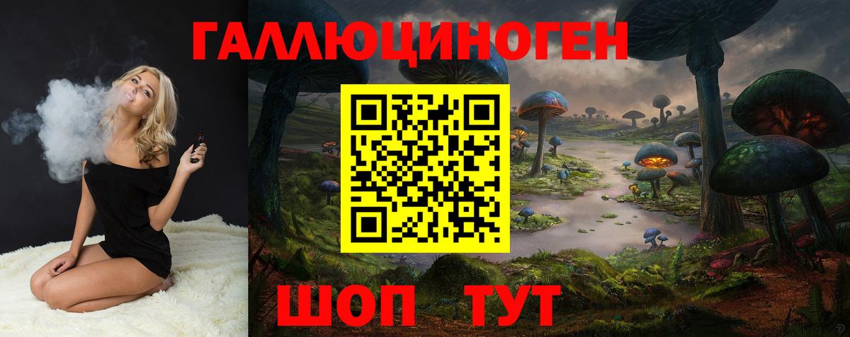 Галлюциногенные грибы Psilocybe Верхняя Пышма